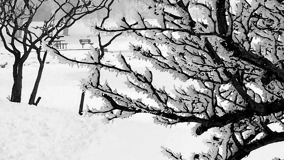 'Artists Choosing Artists' show opens Friday at Burkholder